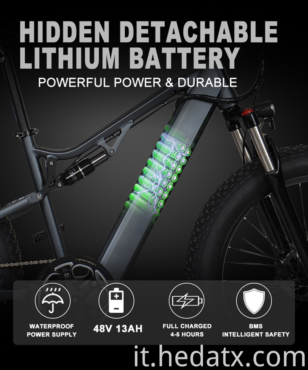 Low Carbon Electric Fat Tire Bike